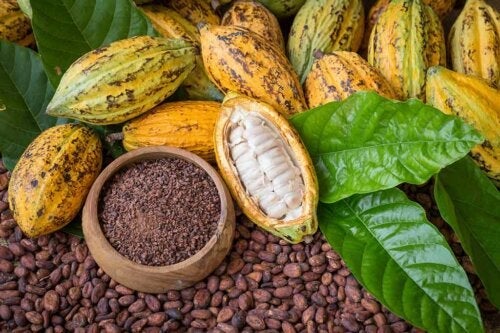 Die Vorteile von Kakao für Gesundheit und Schönheit
