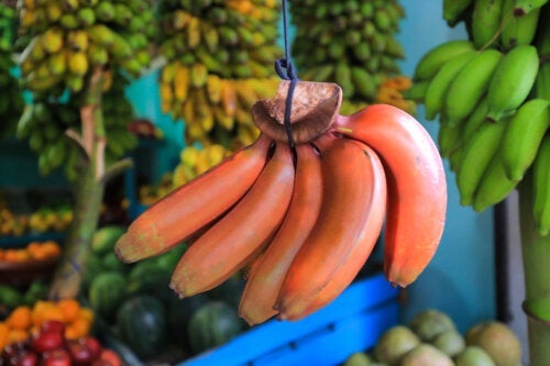 Rote Bananen: Was sind ihre Vorteile?