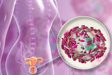 Die Vaginalflora und die Wirkung von Probiotika
