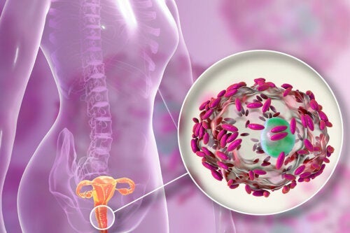 Die Vaginalflora und die Wirkung von Probiotika