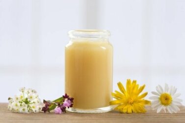 5 Heilmittel mit Gelée Royale, die du kennen solltest