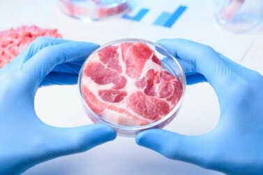Synthetisches Fleisch: Vorteile und Nachteile