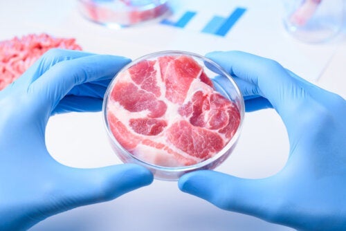 Synthetisches Fleisch: Vorteile und Nachteile