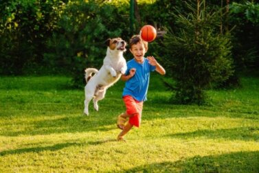 Haustiere: Vorteile und Risiken für die Entwicklung von Kindern