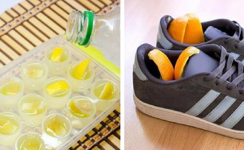 Zitrusfruchtschalen: Sechs alternative Verwendungsmöglichkeiten