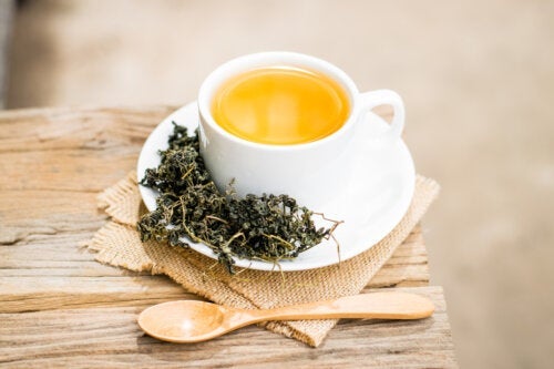 Teebaumöl bei aphten - Die ausgezeichnetesten Teebaumöl bei aphten ausführlich verglichen!