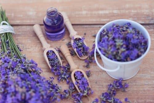 Lavendel als Entspannungsmittel: 5 Anwendungsmöglichkeiten
