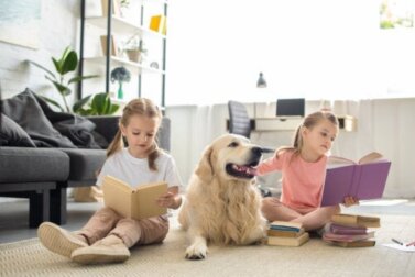 Lesen fördert die geistige Gesundheit und verändert das Gehirn!