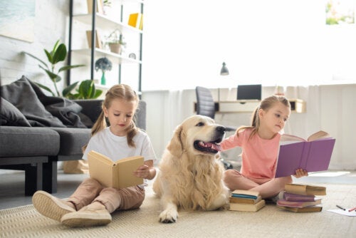 Lesen fördert die geistige Gesundheit und verändert das Gehirn!