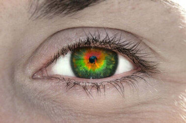 Tetrachromasie oder erweiterte Farbwahrnehmung: Was ist das?