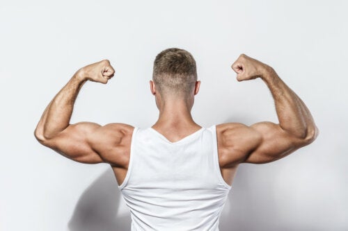 Valin und Aufbau von Muskelmasse: Alles, was du wissen musst