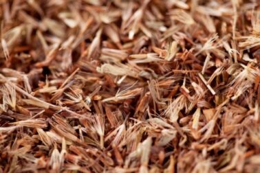 Ätherisches Palmarosa-Öl: Anwendung, Vorteile und Empfehlungen