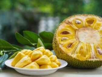 Jackfrucht: Die Lieblingsfrucht der Veganer