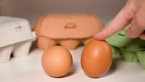 Rohe Eier essen, ist das wirklich gesund?