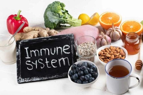 5 Lebensmittel, die dein Immunsystem unterstützen