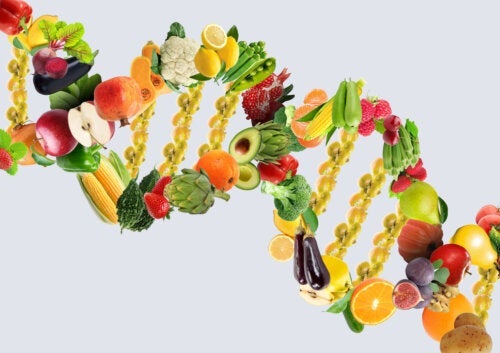 Wie hilft die Nutrigenomik deiner Gesundheit?