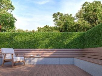 Die besten Bäume und Sträucher für mehr Privatsphäre im Garten