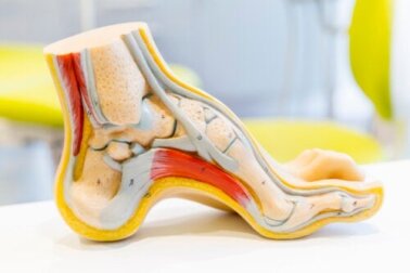Die Anatomie des Fußes und häufige Probleme