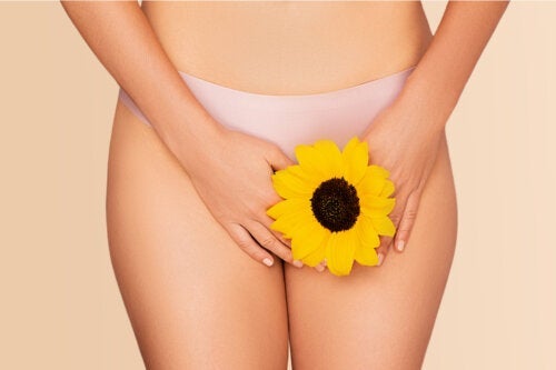 Vaginal-Dampfbäder: Anwendung und Empfehlungen