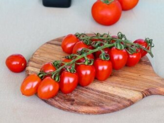 Kirschtomaten: Nährstoffe, Vorteile und Verwendungsmöglichkeiten