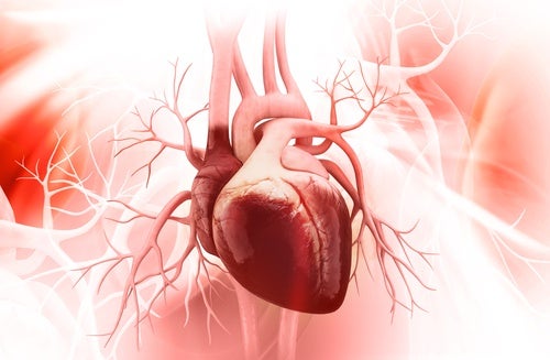 Das Broken-Heart-Syndrom: 5 Schlüssel zur Vorbeugung
