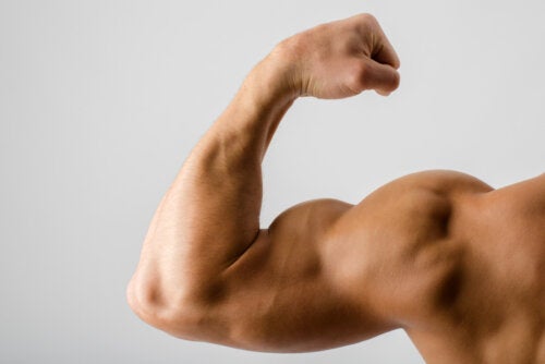 Muskelmasse aufbauen: 6 Lebensmittel, die dir dabei helfen
