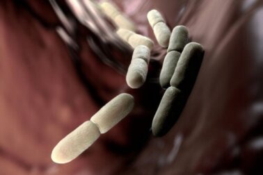 Das Eigenbrauer-Syndrom: Warum tritt es auf?