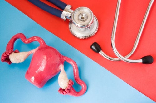 Ovulationsstörung: Was ist das und wie geht man damit um?