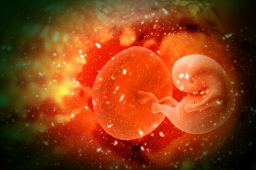 Was ist eine Embryoadoption und was sind ihre Vorteile?