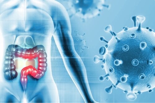 Neue Studie identifiziert Mundbakterien, die Dickdarmkrebs verursachen können