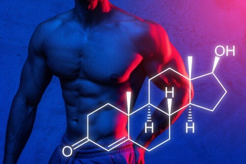 Proteinsynthese: Wie du den Zuwachs an Muskelmasse maximieren kannst