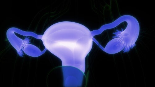 Ovarialdermoidzysten: Symptome und wann eine ärztliche Konsultation erforderlich ist