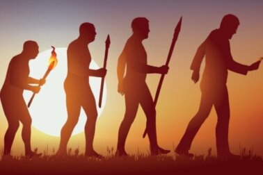 Sozialdarwinismus: Eine Idee, die es nie hätte geben dürfen?