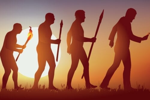 Sozialdarwinismus: Eine Idee, die es nie hätte geben dürfen?