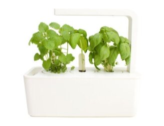 Smart Pots: Erfahre, wie sie funktionieren und welche Vorteile sie für deine Pflanzen haben