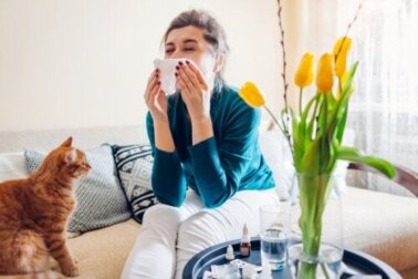 15 Pflanzen, die Allergien verschlimmern