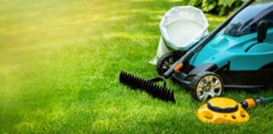 Rasenpflege im Frühling: Einige einfache Schritte