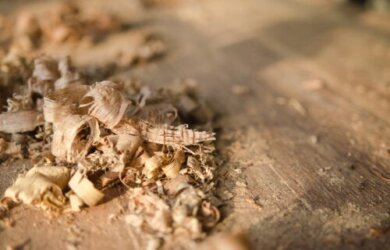 8 praktische Verwendungsmöglichkeiten für Sägemehl im Haushalt