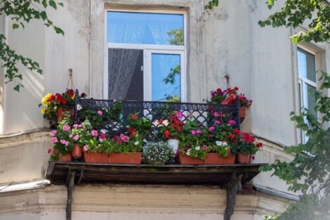 Die 20 besten sonnenresistenten Hängepflanzen für den Balkon und Außenbereiche