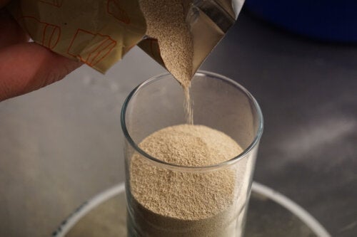 Bierhefe zum Masseaufbau - ist das sinnvoll?