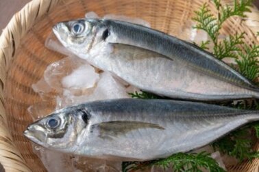 Makrele: viel Protein und gesunde Fettsäuren