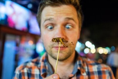 Bizarre Lebensmittel: Würdest du sie gerne probieren?