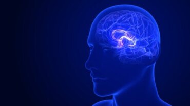 Wie du die Funktion des Hypothalamus verbessern kannst: 6 Tipps