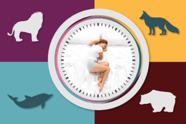 Der Chronotyp: Schläfst du wie ein Wolf oder wie ein Löwe?