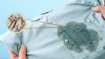 Top 10 der Anziehungspunkte für Motten und Co.