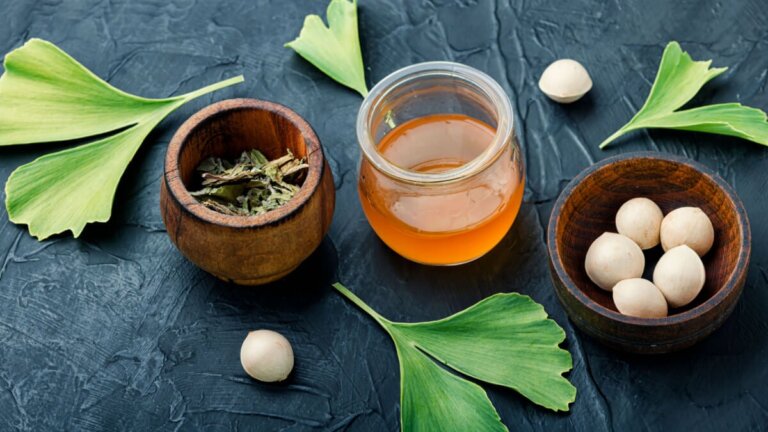 Ginkgo biloba: Eigenschaften, Nutzen und Anwendung