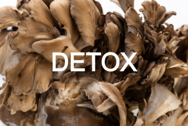 Maitake und Polyporus: Vitalpilze zur Entgiftung
