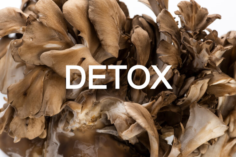 Maitake und Polyporus: Vitalpilze zur Entgiftung