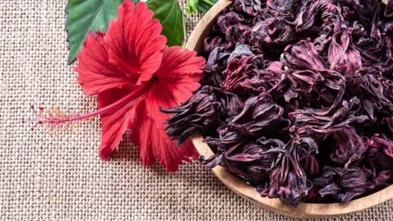 Welche gesundheitlichen Vorzüge hat die Hibiskusblüte?
