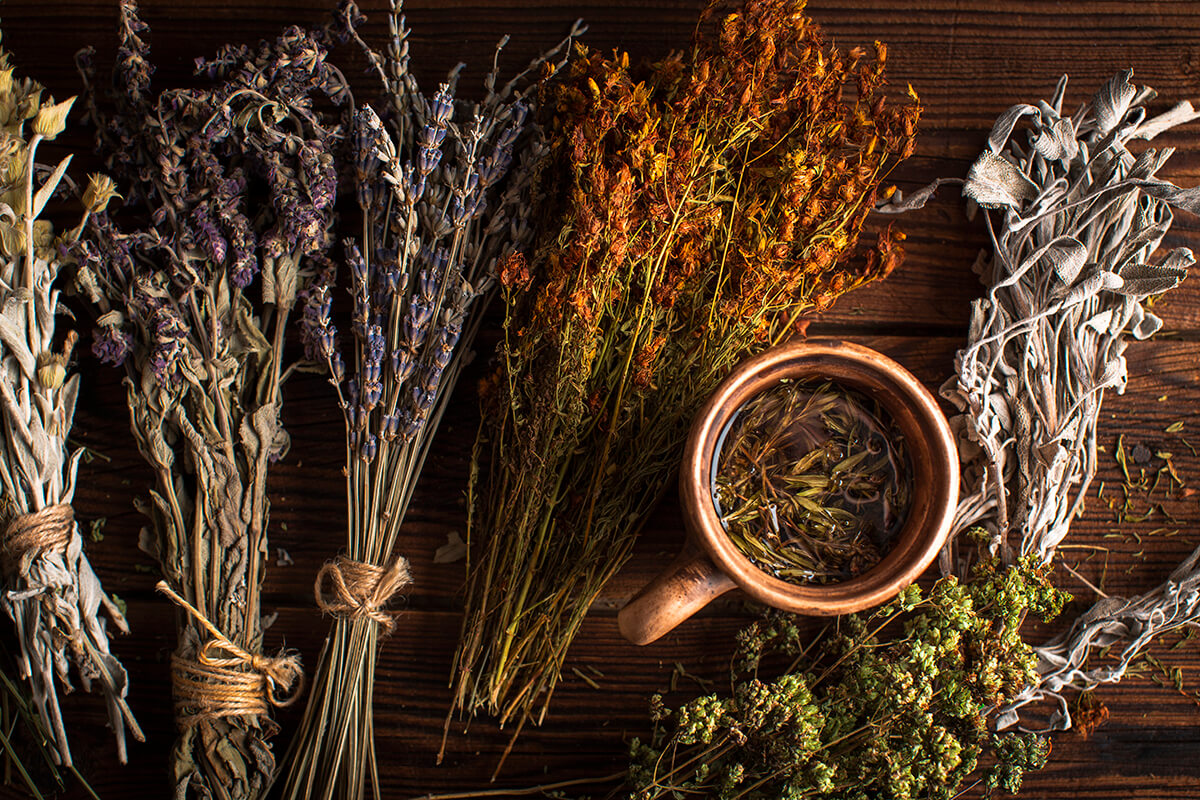 pflanzen für phytotherapie